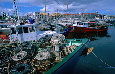 Hobart - Fishing fleet and their lobster pots moored in Victoria Docks, Hobart