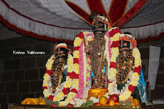 Theppotsavam,Seriya Ther,Day 02,Vaibhavam,Dharisanam, Sri PArthasarathy Perumal, Perumal, Venkata Krishna , Varushotsavam, 2018, Video, Divya Prabhandam,Triplicane,Thiruvallikeni,Utsavam,