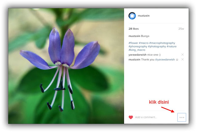 Cara Memasukkan Foto dari Instagram ke Dalam Postingan Blog