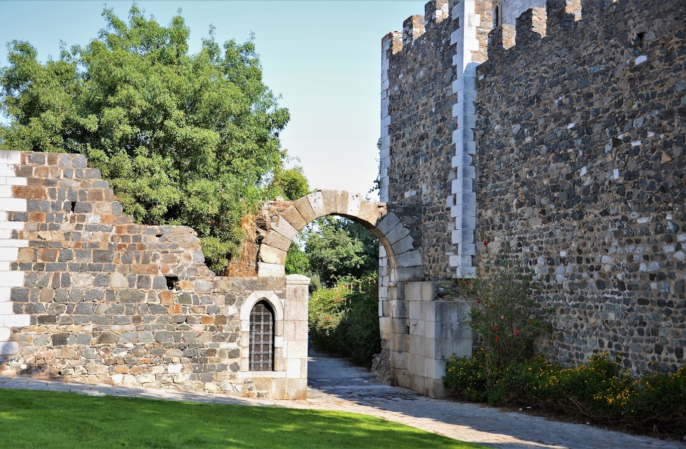 Beja