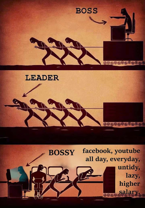 Leader VS Boss VS Useless Bossy