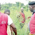 Hit And Run Driver Kills NDLEA Officer In Jigawa