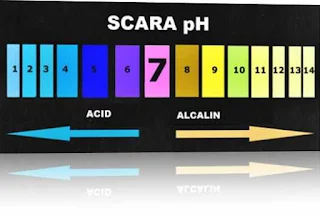 Ce inseamna ph alcalin si importanta ph-ului in alimentatie