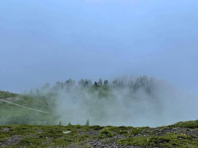 monte_cornon_tesero