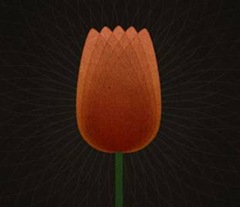clip_image002