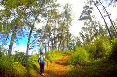 Taman Hutan Jaya Giri Lembang