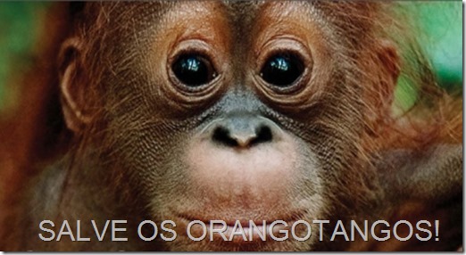 Orangotango