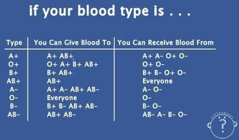 To-whom-can-you-give-blood?-Who-can-you-take-blood-from?