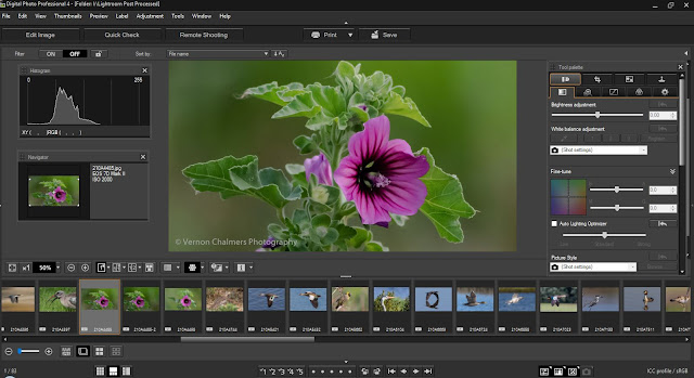 Download Canon Digital Photo Professional 4.10.0 for Windows