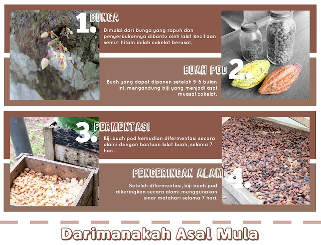 Darimanakah Asal Mula Cokelat? - Tur Cokelat Bali Frisian Flag Kental Manis Cokelat