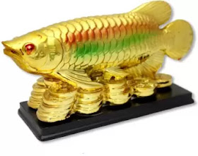 Berbagai Penyakit Ikan Arwana Beserta Penyebab Dan Cara Penyembuhannya