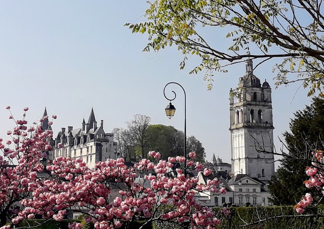 looking over the spring blossom towards the Royal Lodgings in Loches.