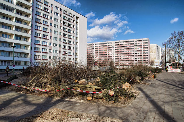 Baustelle Baumfällarbeiten, Otto-Braun-Straße / Mollstraße, 10178 Berlin, 13.02.2014