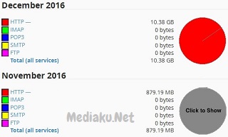 Cek Penggunaan Bandwidth Hosting Terpakai