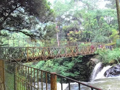 Taman Hutan Raya Djuanda