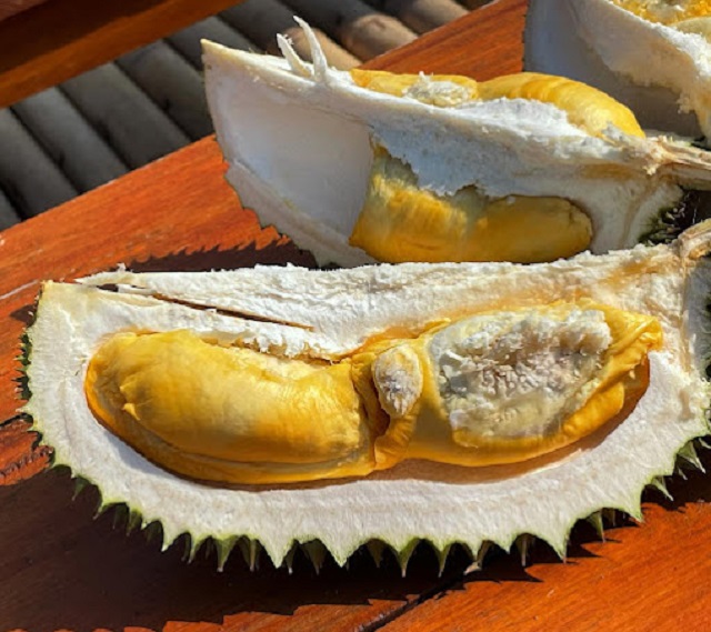 buah bukit durian sagara sukabumi