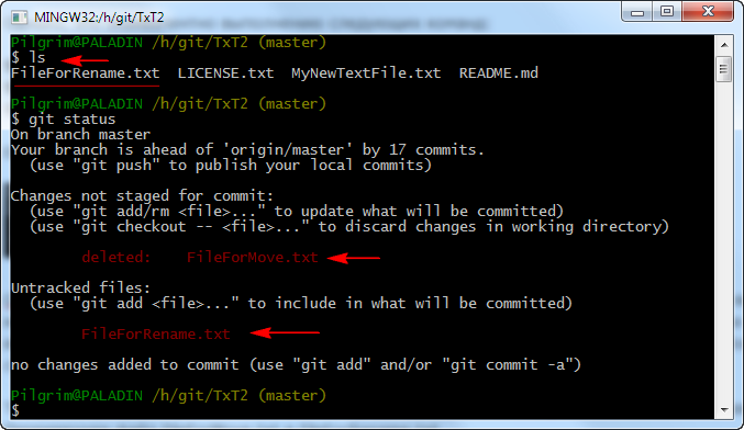 Git00038