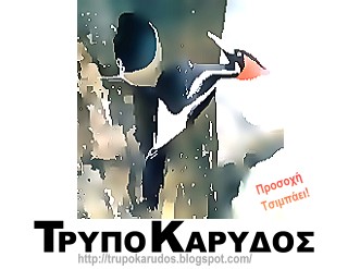 Trypokarydos!