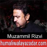 https://www.humaliwalyazadar.com/2018/10/syed-muzammil-rizvi-nohay-2019.html