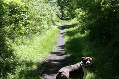 IMG_4542[1]