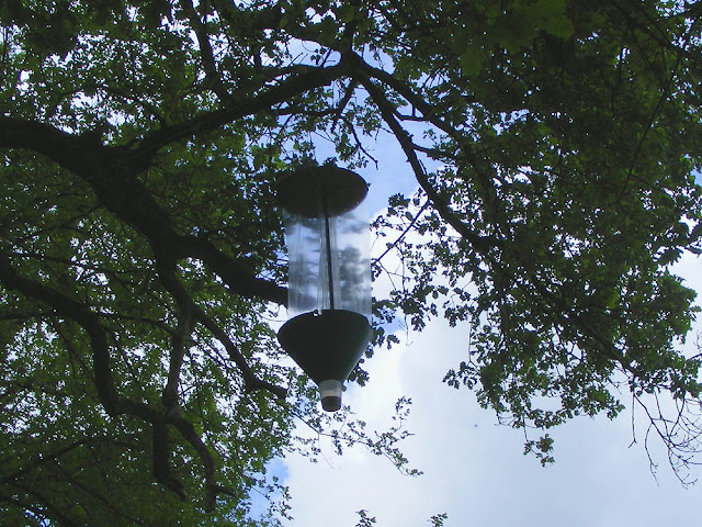 Vane trap for biodiversity monitoring of insects. Photo by Loire Valley Time Travel.