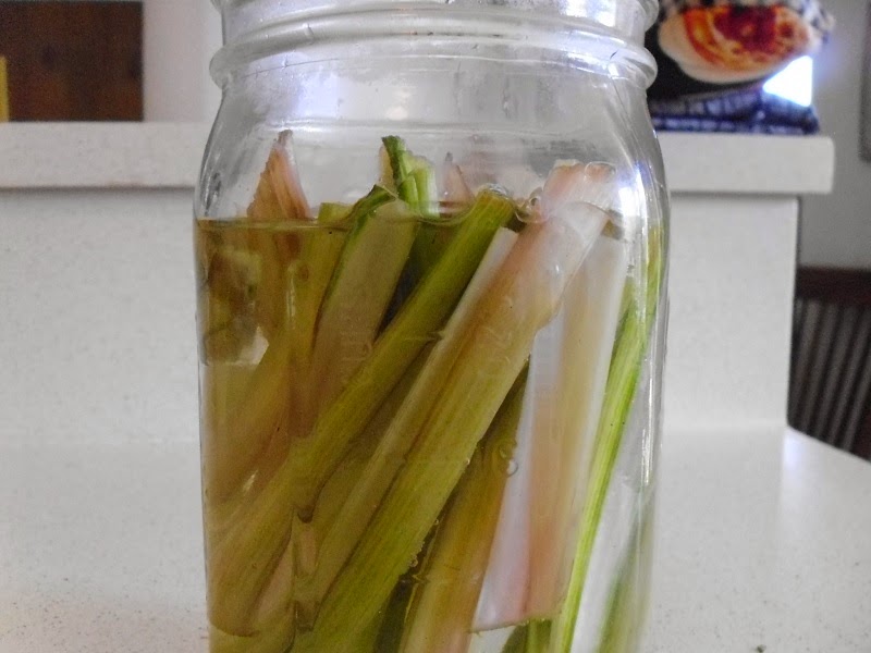 Pickled Chard stems