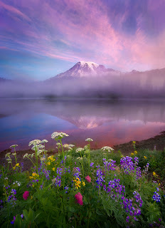 Montañas con flores de primavera en el lago