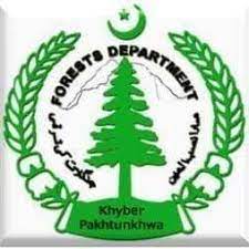 Forest Division Abbottabad KPK Jobs 2022