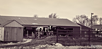 IMG_3749 copy
