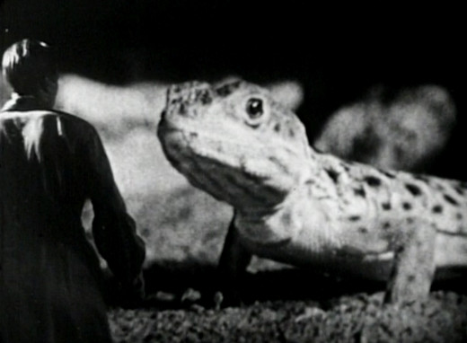 Screenshot - Martin encounters a giant mutated lizard in Killers from Space (1954)