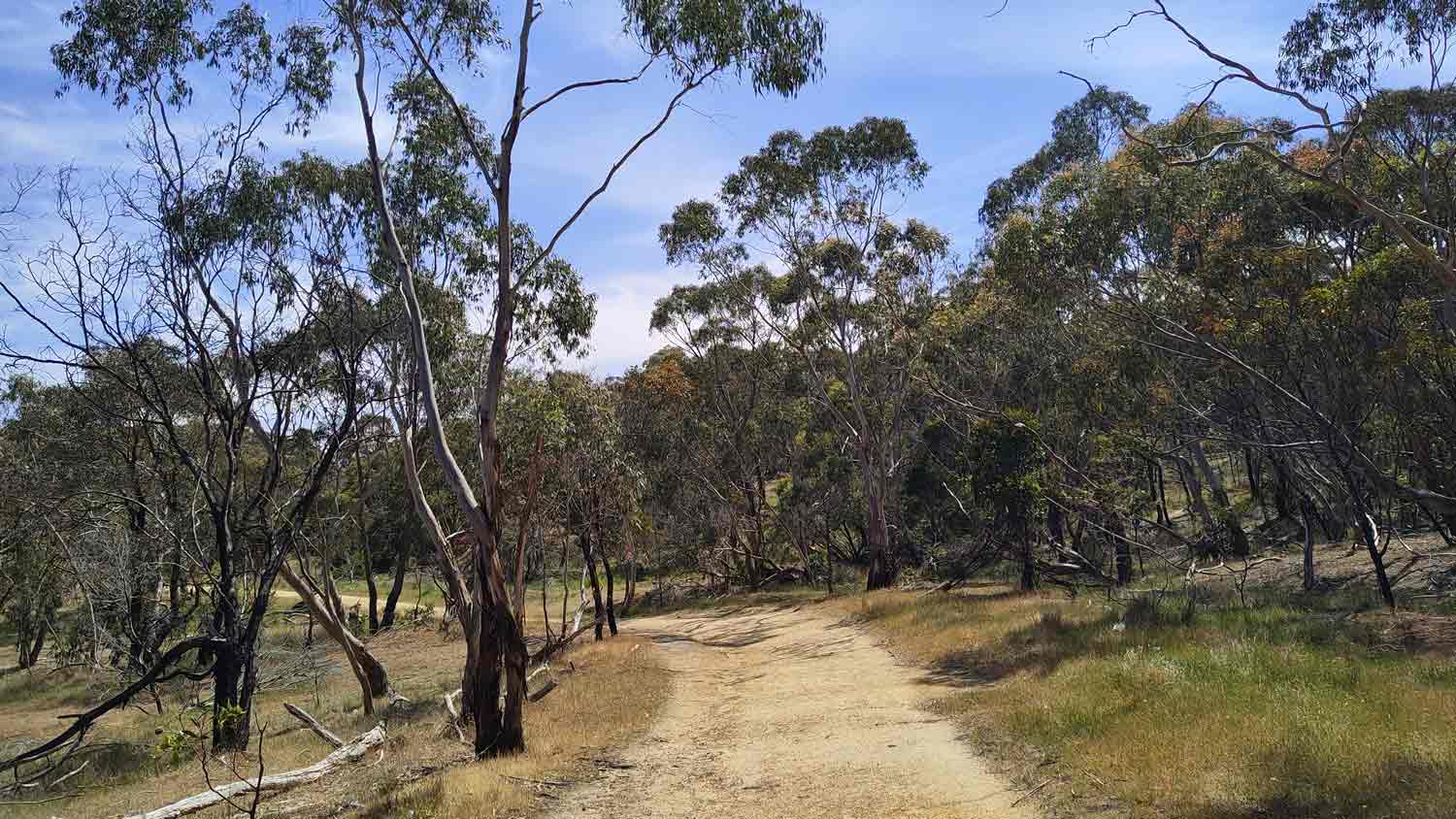 Black Hill Reserve Kyneton