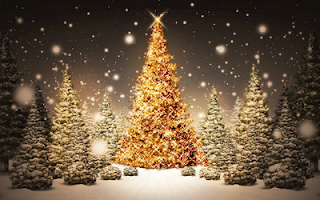 3 Christmas Wallpapers Free Christmas Tree In The Forest Full Of Lights.Png