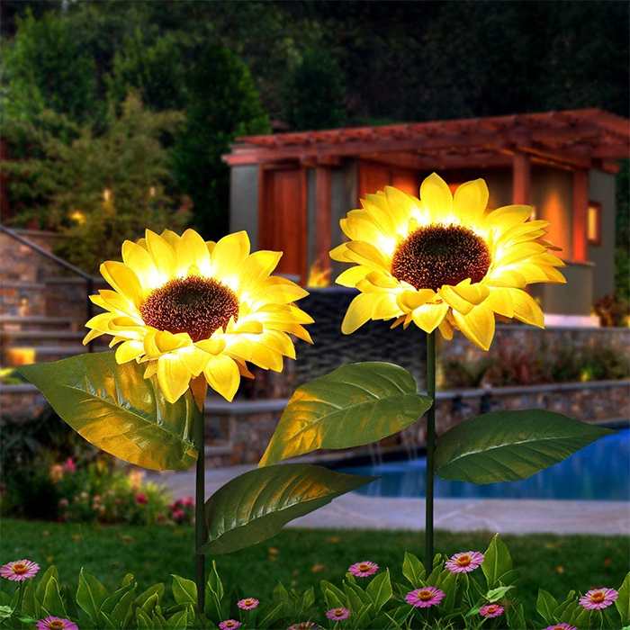 suncredible sunflower