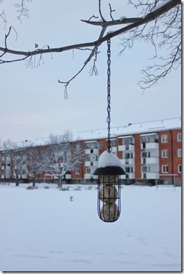 IMG_9761