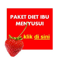 PAKET DIET IBU MENYUSUI