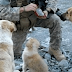 A Soldier Made Friends With 3 Dogs. But He NEVER Expected This When A Bomb Went Off…