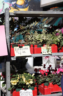 picture of herb and flower display