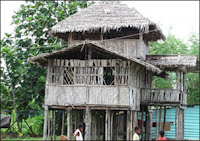 Rumah Adat Kep. Teluk Cendrawasih