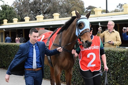 race 7 _the cleaner 2