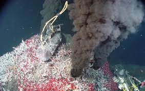 Tubeworms around a hydrothermal vent