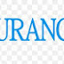 Mexican Insurance for All Travelers to Mexico