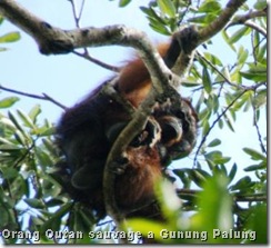 DSC03303-crop