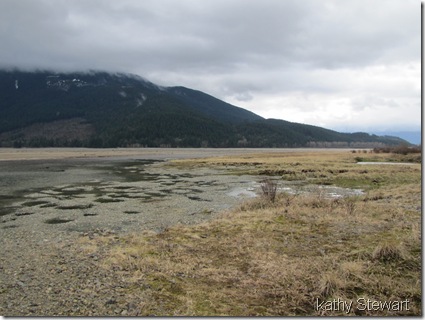 log bay