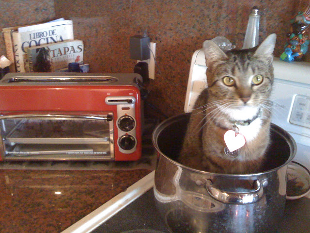 katie drying my soup pot by jodimarr from flickr (CC-NC)