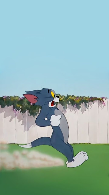 tom and jerry wallpapers