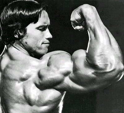 arnold schwarzenegger bodybuilding videos. arnold schwarzenegger