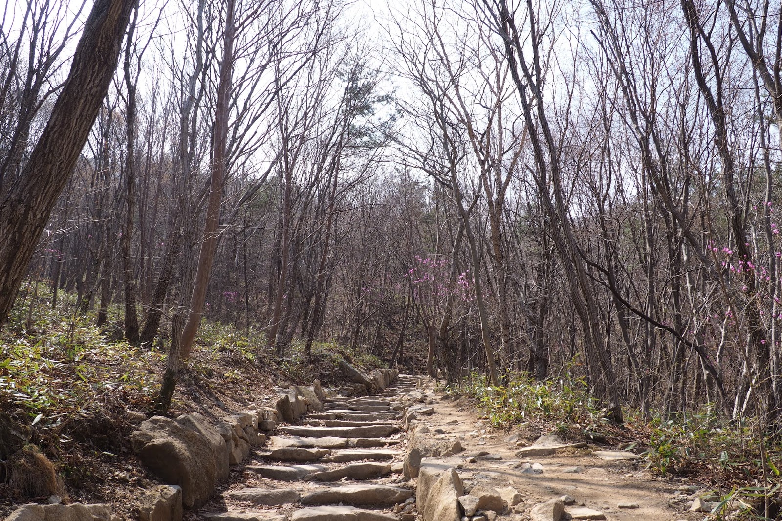 간월재 肝月嶺 신불산 神佛山 영남알프스 嶺南阿爾卑斯