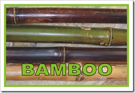 BAMBOO