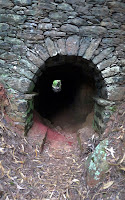 Levada da Serra do Faial (Tunnel)