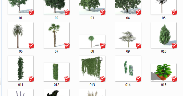 Model Sketchup : Pohon (2) ~ Arsitek Sipil Blog